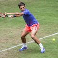 R. Federeris ir A. Murray iškopė į teniso turnyrų Vokietijoje ir Anglijoje pusfinalius