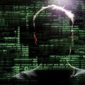 Украинский хакер стал первым свидетелем ФБР по "российскому делу"