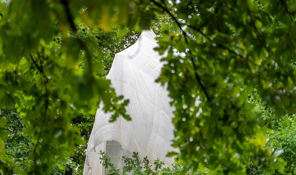 Medžiuose pakibęs parašiuto kupolas simbolizuoja Juozo Lukšos grįžimą į Lietuvą 