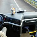 Šakių ir Vilkaviškio rajonuose laikinai nutraukiami keli autobusų maršrutai