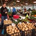 Brangsta ne tik bulvės – ūkininkai vardija augančias daržovių kainas