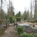 Ne visi kapai sulaukia tvarkytojų: kas jais pasirūpina?