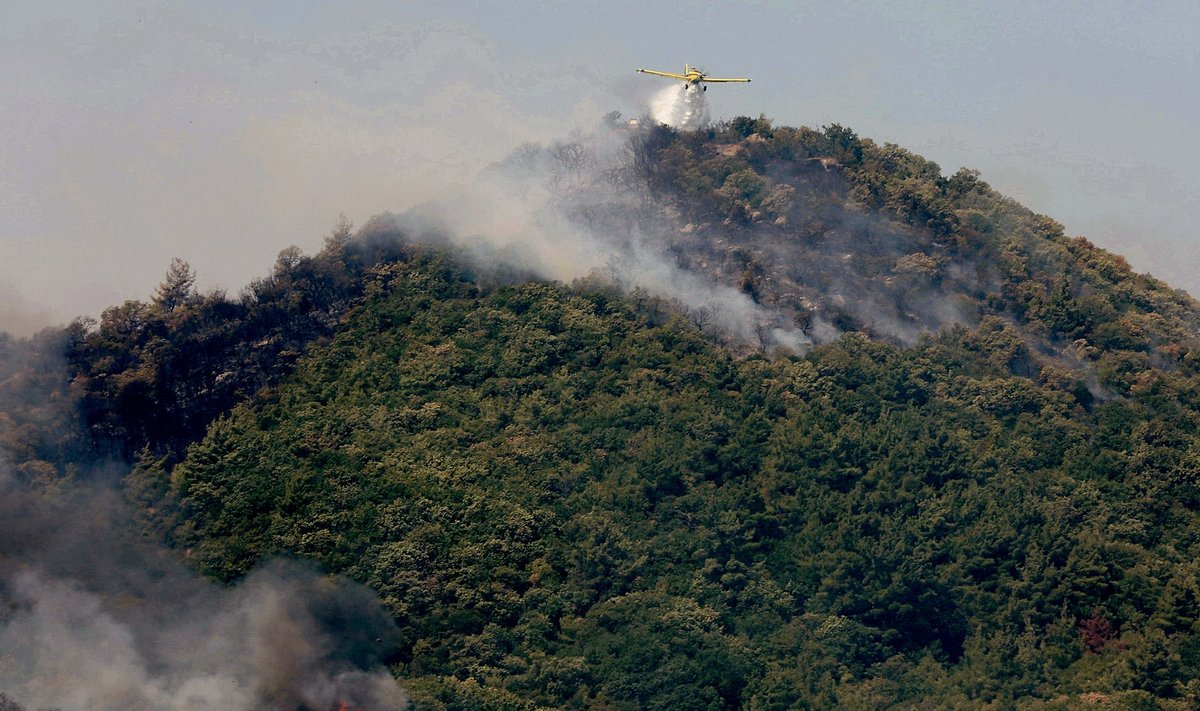 Graikijoje įsiplieskė naujas miško gaisras