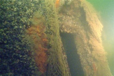 Ilgus metus povandeninei archeologijai atidavęs mokslininkas džiaugiasi, kad geros būklės paskendę mediniai laivai Baltijos jūroje gali išsilaikyti labai ilgai