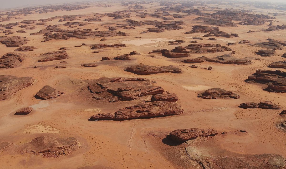Per archeologinius kasinėjimus ritualinės paskirties istorinio paminklo vietoje Saudo Arabijoje aptikta žmogaus ir gyvūnų palaikų. Kennedy et al. nuotr.