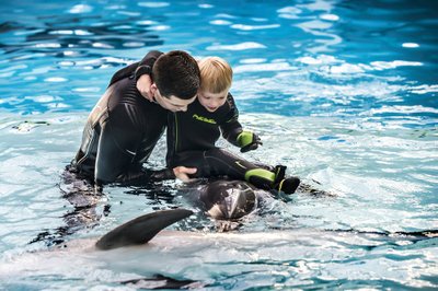 Delfinų terapija/Neringos ir Vidmanto Girdvainių nuotr.