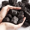 Pelningiausias šaltinis kasybos pramonėje – ne metalai, o blogoji, senoji anglis