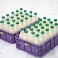 Penktadienį ūkininkai Vilniuje nemokamai išdalins 9 tonas pieno