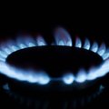 Lietuvos energetikos agentūros duomenimis dujų kainos šiais metais išliks aukštos: sieks iki 67 Eurų už MWh