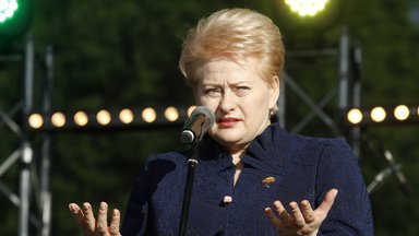 Grybauskaitė: Majątki polityków do aktywnej kontroli