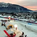 Žiemos pasaką primenančiose Alpėse – šunų kinkinių varžybos