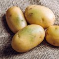 Pagrindinė klaida ruošiant bulves: gydytojos įvardijo, kad taip galima stipriai nutukti