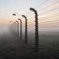 „Mirties žygis“ iš Aušvico: stovyklos kaliniams tai buvo baisiau už bado dietą ar ligomis apėjusias bakūžes
