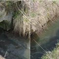 Aplinkosaugininkai ištyrė, kas iš nuotekų valyklos teka į Minijos upę