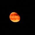 Ateinanti savaitė prasidės „kruvinojo Mėnulio“ užtemimu
