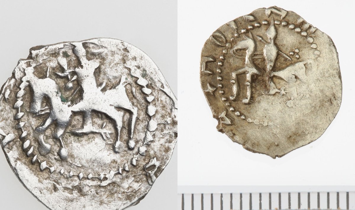 Jogailos denaras 1388 m. Viena iš lobio monetų (Fot. G. Trečiokas, LNM), Raišių lobio moneta dar prieš jai patenkant į restauratorių rankas (Fot. A. Baltėnas, LNM)