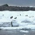 Antarktidos lede rastos vieno seniausių pasaulio lėktuvų liekanos