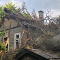 Vilniuje ant apleisto pastato užkrito medis: pranešama apie įgriuvusį stogą ir žmones viduje