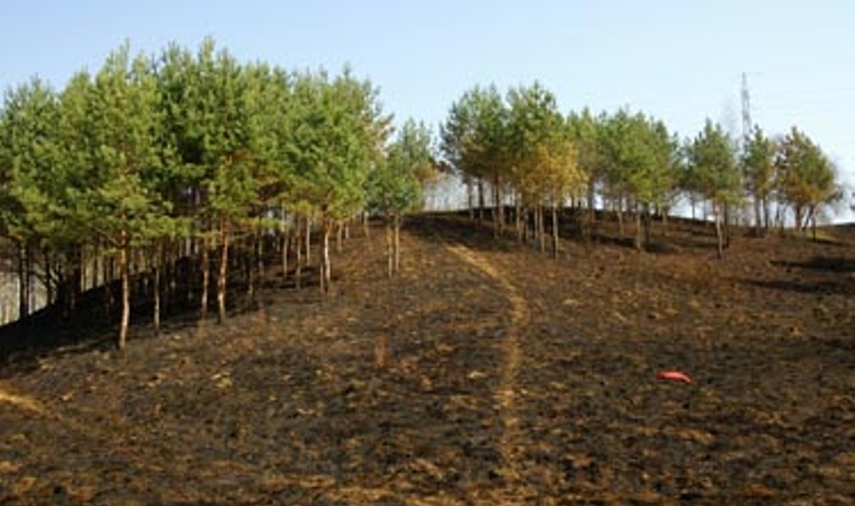 Žolės deginimas, išdegę žolės plotai