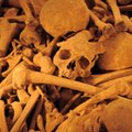 Archeologai Vokietijoje aptiko masinę kapavietę: skerdynės buvo negailestingos