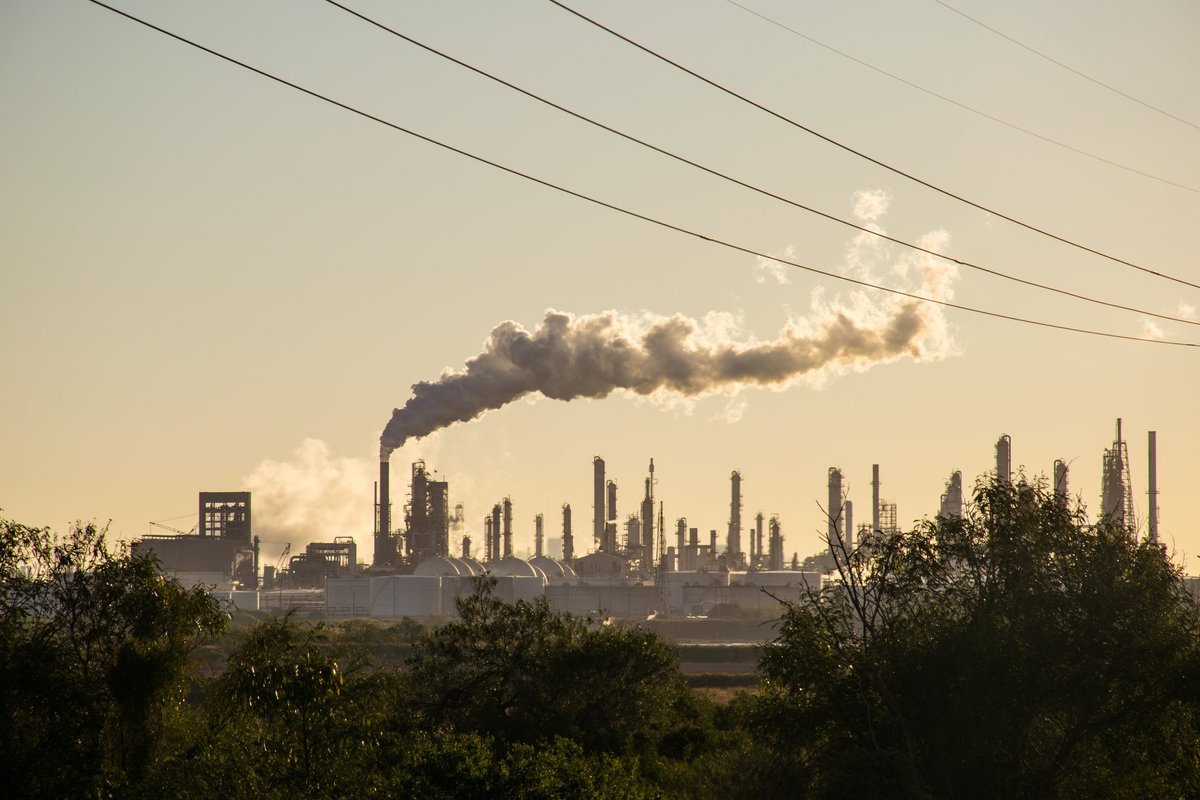 Litauiske forskere foreslår hvordan man kan redusere virkningen av miljøforurensning
