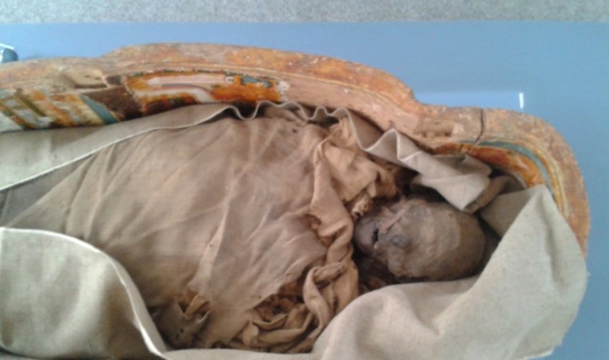 Vilniuje tiriama Egipto mumija (D. Piombino-Mascali nuotr.)