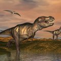 Kodėl tiranozauro priekinės letenos buvo tokios trumpos?
