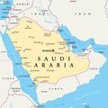 Saudo Arabija sugalvojo naują būdą atkeršyti kaimynei