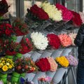 Gėlių kainos didėja: ir pora žiedų dabar piniginę patuštins labiau