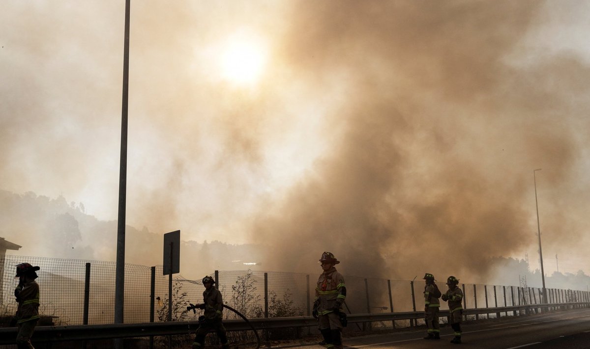Miškų gaisrai Čilėje