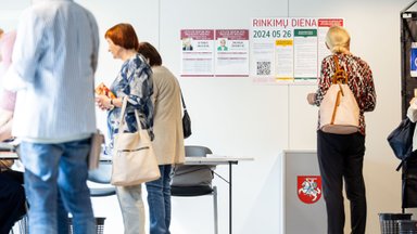 В Литве идет второй день досрочного голосования на выбрах президента