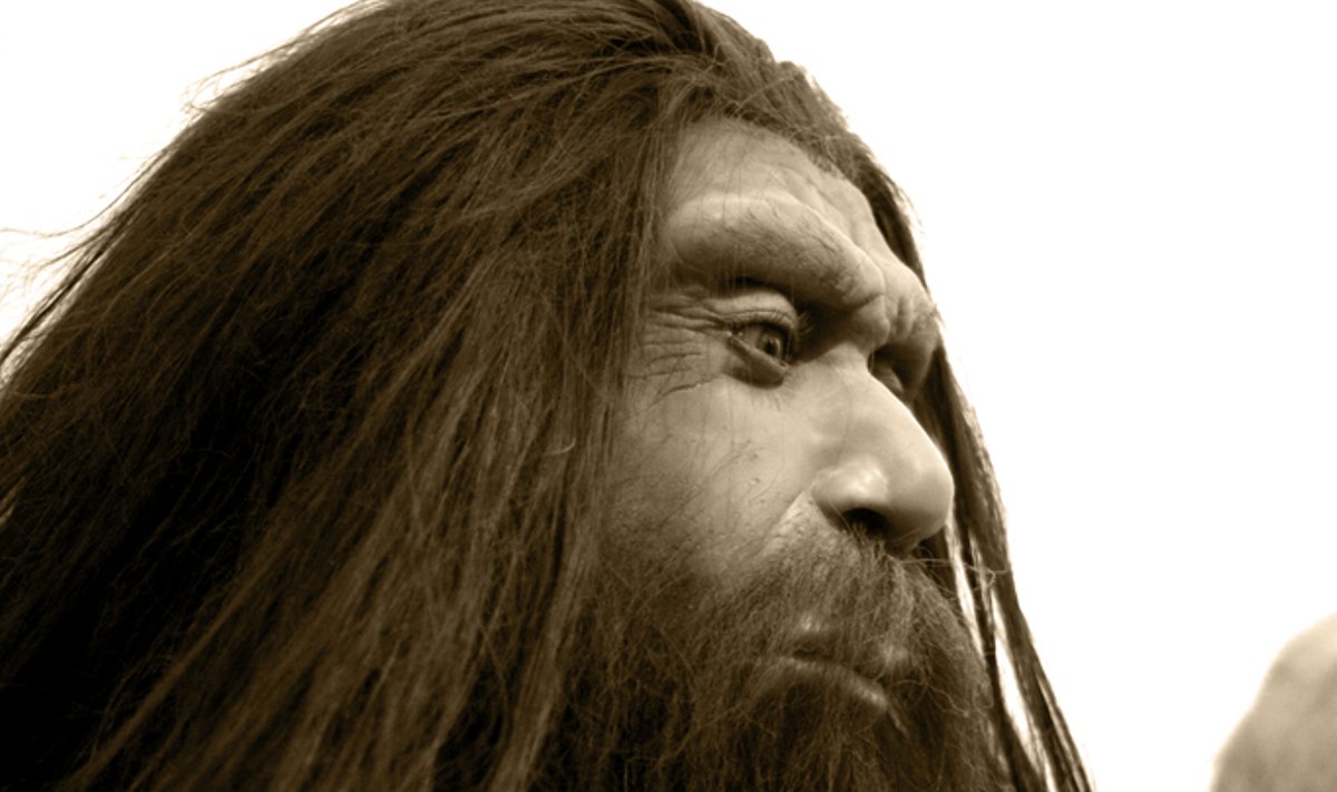 Neandertalietis