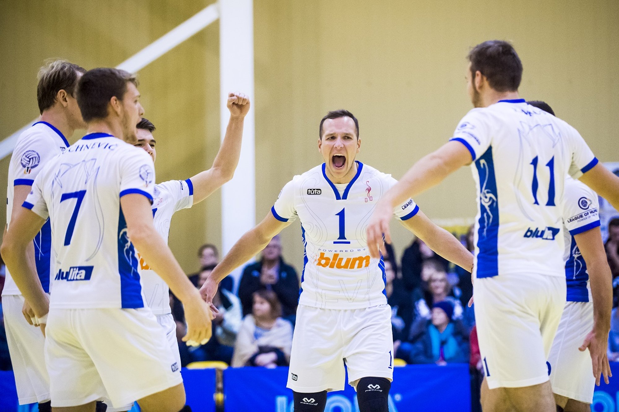 „Vilniaus Kolegijos-Flamingo Volley“ Tinklininkai Nepasipriešino Estams ...