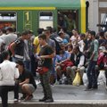 В Венгрии могут ввести чрезвычайное положение из-за мигрантов