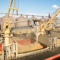 Ukraina: derybos dėl grūdų eksporto įtemptos ir sudėtingos