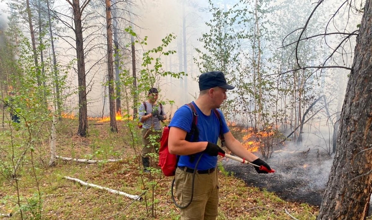 Miškų gaisrai Sibire