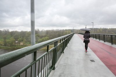 Alytus, Baltosios rožės tiltas