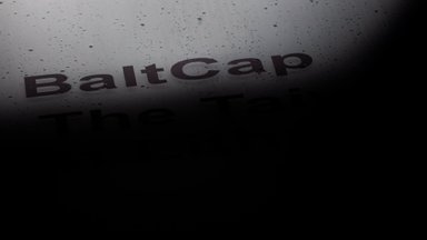 „BaltCap“ užbaigė pagrindinę vidinio tyrimo dalį: pasisavintų pinigų suma sudaro 40,4 mln. eurų