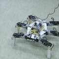 „Žvaigždžių karus“ primenantis šešiakojis robotas: kas jis toks
