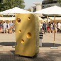 Kviečia Sūrių festivalis: lankytojai ragaus ir rinks geriausią sūrį