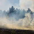 Глава МВД: в Литве лесные пожары потушены, однако опасность остается высокой