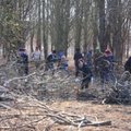 Šiauliečius džiugins sutvarkytas Dainų parkas: žada ir sakurų sodą