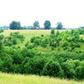 Lietuvoje įsteigti aštuoni nauji gamtiniai draustiniai