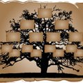 Archyvarė: žmones „veža“ giminės medžio sudarymas