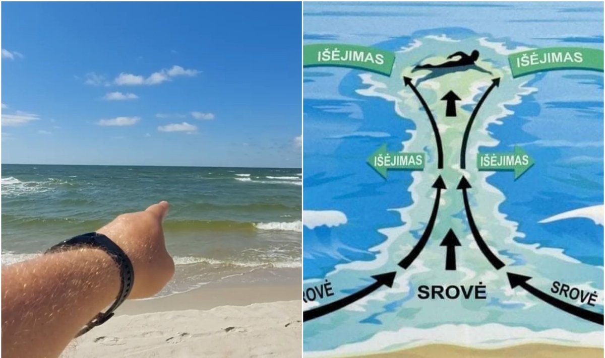 Andrejaus Ispodnikovo vaizdo įrašo stopkadras ir  „Klaipėdos paplūdimiai“ iliustracija