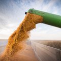 Kyla infliacijos spartėjimo grėsmė: šalys ima saugoti savo maisto atsargas