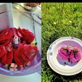 Unikali idėja rožinės sriubos fanams: naminiai šaltibarščių ledai nustebins net daug ragavusius gurmanus