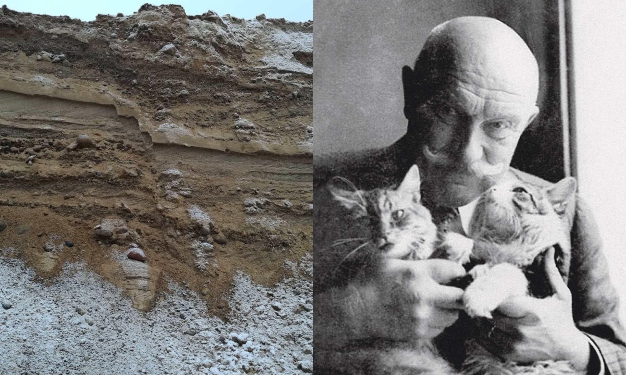 W ekspozycji Muzeum Wileńskiego o geologii i mieszkańcach miasta – od wileńskiego karalucha po miejscowego mamuta