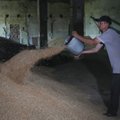 Rusija ir Ukraina priartėjo prie susitarimo dėl grūdų eksporto
