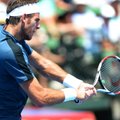 Parodomojo vyrų teniso turnyro Melburne finale - argentinietis bei australas